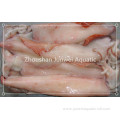 land frozen Chinese red squid